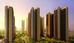 1604106337199823.jpg 2.jpg