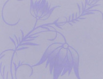 矽藻泥(ní)藝術塗(tu)料002