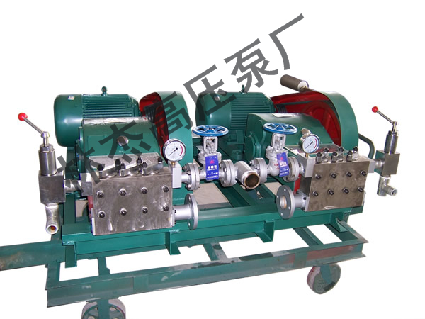 高壓清(qing)洗泵廠家